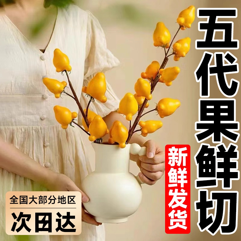 五代同堂黄金果鲜切鲜花束乳茄