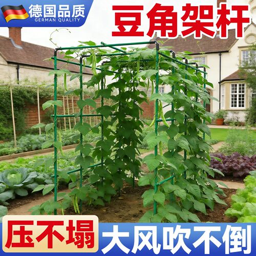 豆角架杆黄瓜爬藤架菜丝瓜西瓜撑