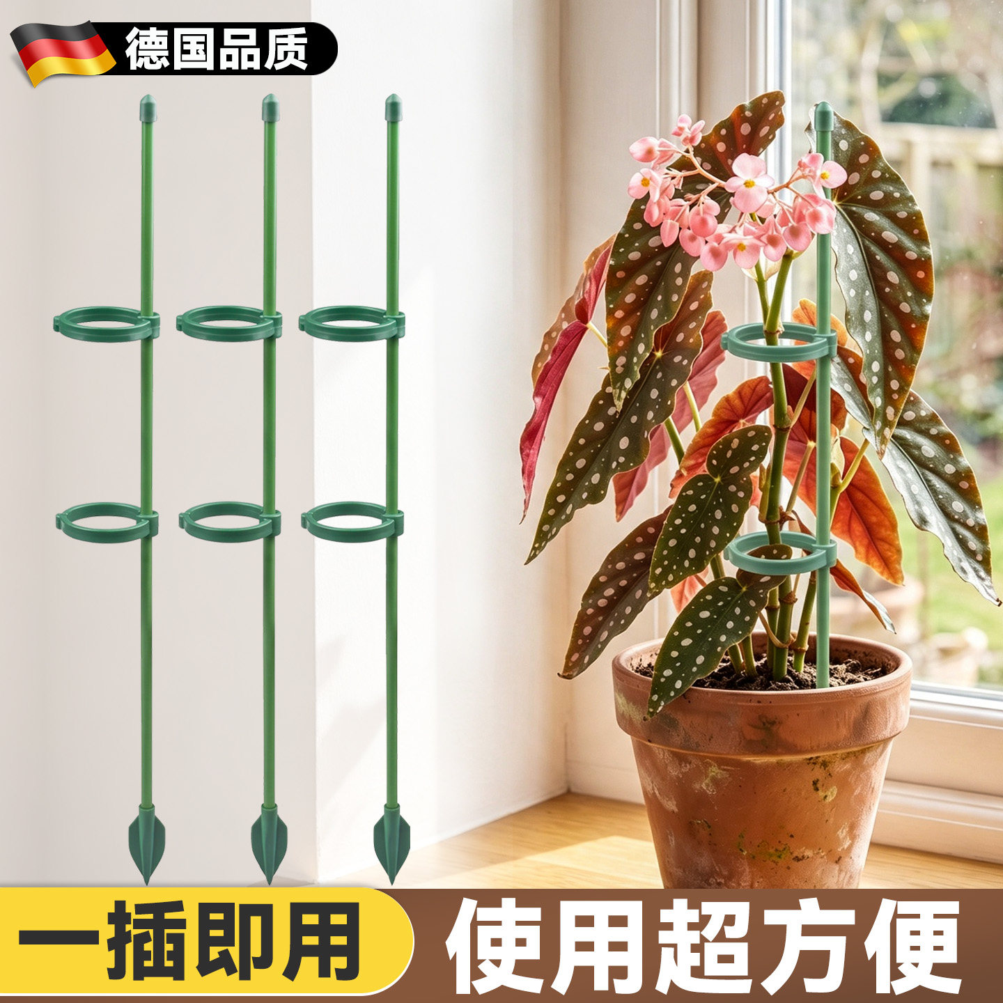 秋海棠支撑杆植物花架园艺固定图片