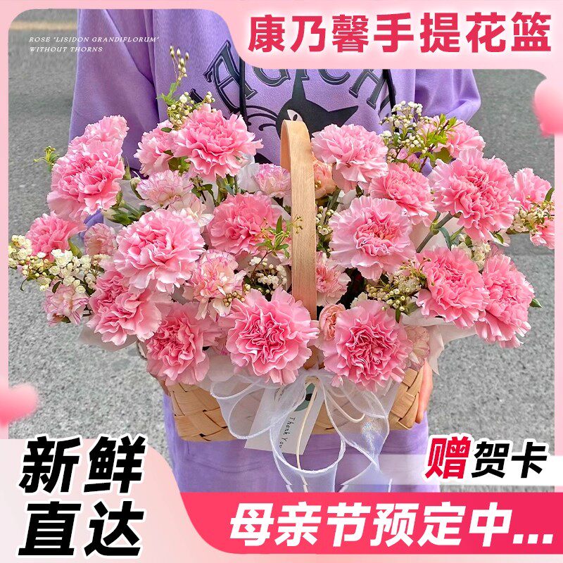 康乃馨鲜花盆栽多头重瓣花卉带花