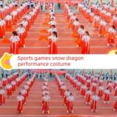 雪龙吟舞蹈演出服扇子运动会开幕式 入场出场服创意道具君子谣 服装