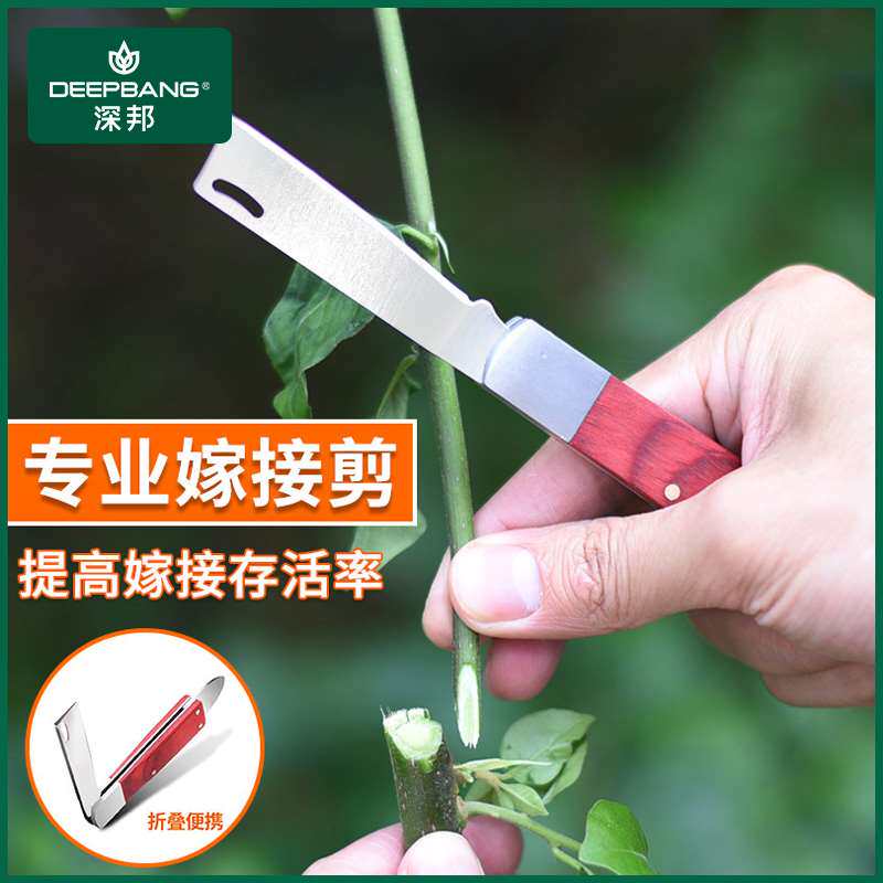 深邦嫁接刀接木刀芽接刀手工刀苗木果树嫁接刀修剪削木嫁接剪刀