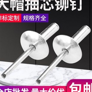 xM3.2M4M5大头拉铆钉 大帽铝制抽芯铆钉大帽叶大帽沿 汽车铆钉