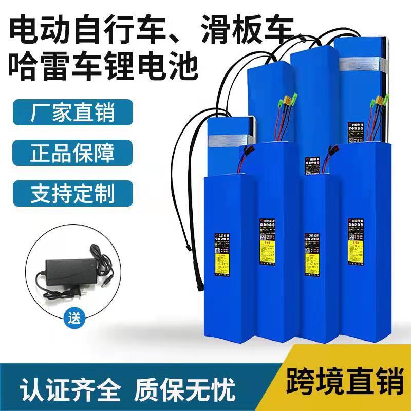 创赢电动车内置长条爱玛48v10AH6v1滑板车电池 哈雷车电瓶