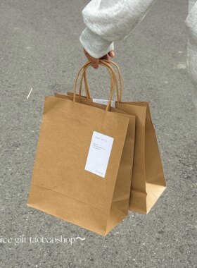 复古纯色牛皮纸袋ins风手提烘焙零食袋子奶茶打包收纳袋购物袋