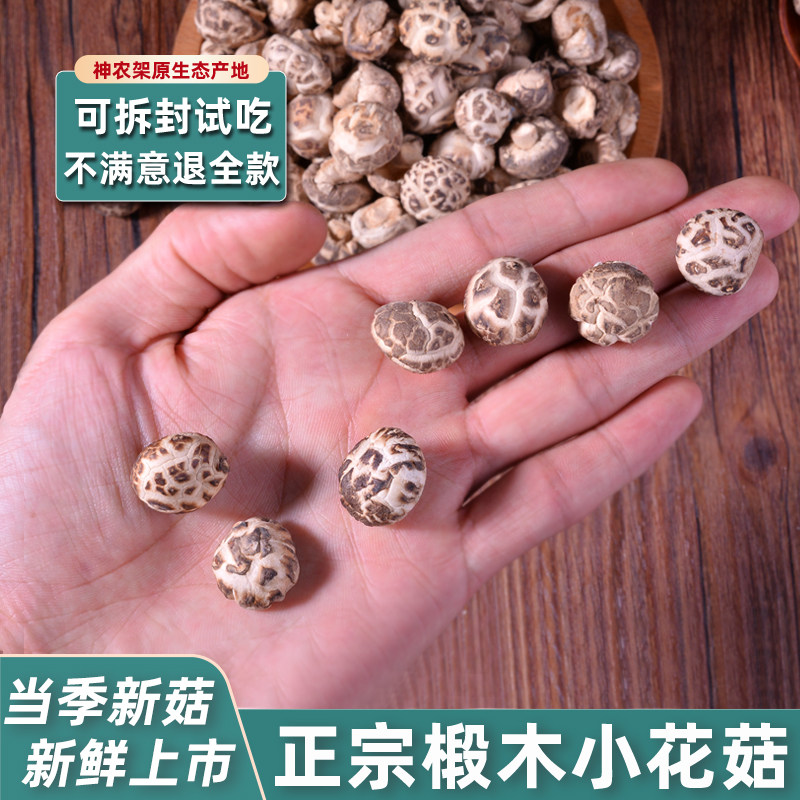 房县小花菇菌菇助农特产神农架非野生椴木迷你蘑菇冬菇干货香菇