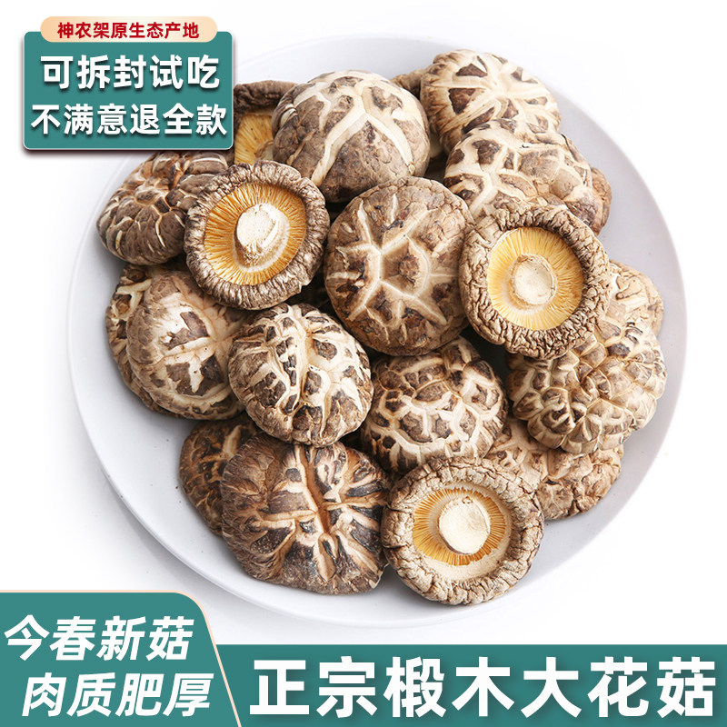 正宗房县小花菇大蘑菇助农特产神农架非野生椴木迷你香菇干货冬菇