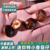 神农架香菇干货剪脚椴木花菇冬菇小蘑菇肉厚香菌特产菌菇金钱菇级