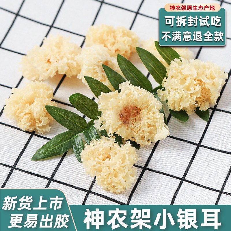 精选椴木白木耳菇迹250g