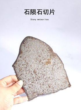 天然NWA西北非石陨石铁陨石橄榄陨石切片火流星天文科普教学标本