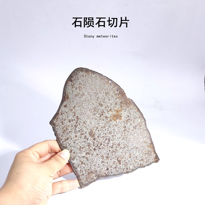 天然NWA西北非石陨石切片标本