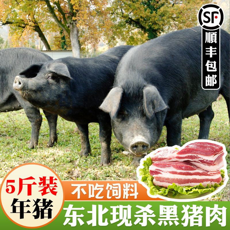 东北黑猪肉农家散养现杀猪肉