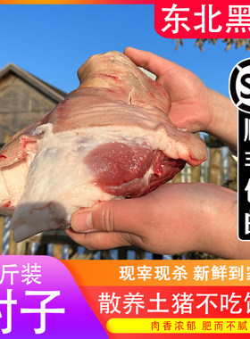 肘子生鲜东北正宗黑猪土猪肘子整只现杀冷冻新鲜五花肉猪蹄顺丰