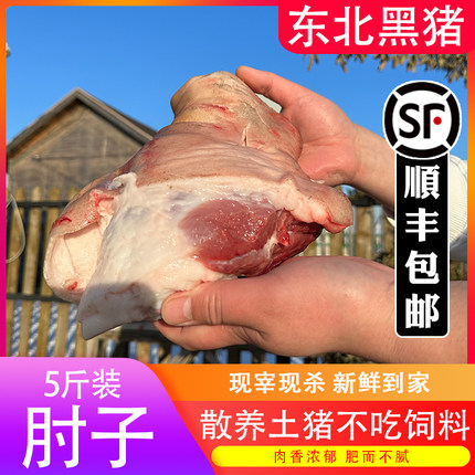 肘子生鲜东北正宗黑猪土猪肘子整只现杀冷冻新鲜五花肉猪蹄顺丰
