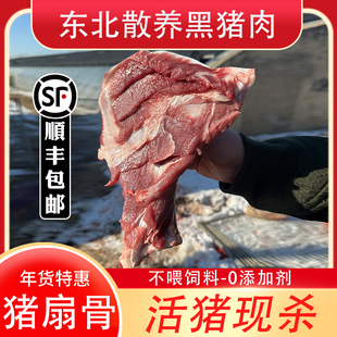 猪扇骨新鲜冷冻棒骨整扇正宗东北农家散养黑猪土猪肉活猪现杀排骨
