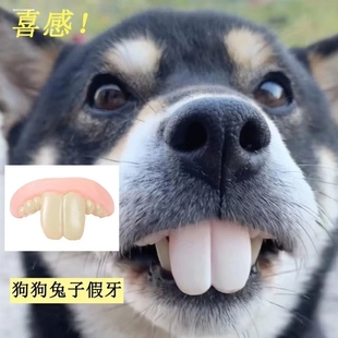宠物狗万圣节搞怪龅牙道具兔子假牙狗劫匪帽狗狗假牙玩具土拨鼠