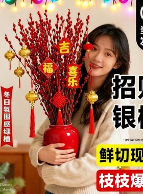 银柳真花鲜枝客厅摆件红色年宵花花卉干花干枝盆栽抱抱桶水培植物