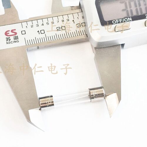 上海松山玻璃保险丝管延时RT1-30 5A 6.3A 8A 10A 15A 20A 6X30MM