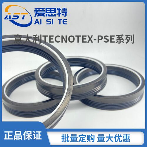 进口意大利TECNOTEX夹布组合PSE油封SEP密封件SM组合油封密封圈