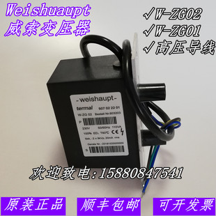 高压包 高压导线 ZG02 点火线 ZG01 威索Weishuapt点火变压器