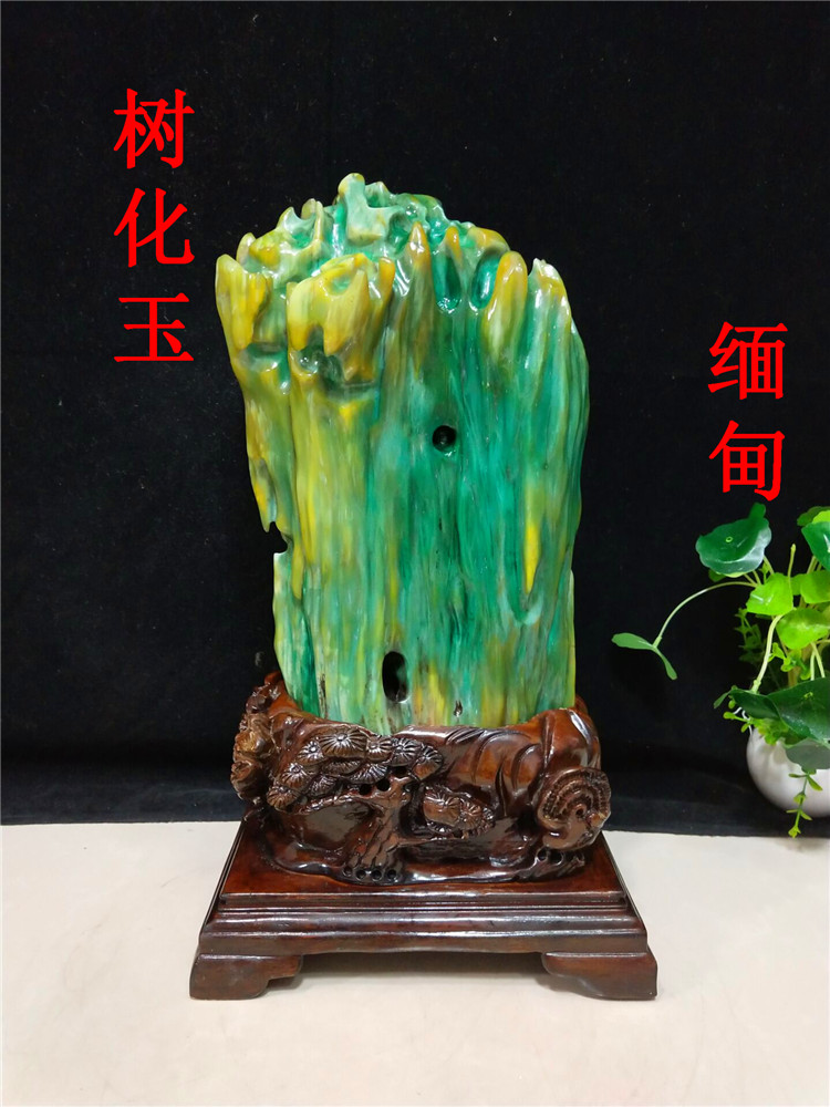 包邮天然缅甸树化玉绿料树化石奇石观赏石原石摆件石头礼品s收藏