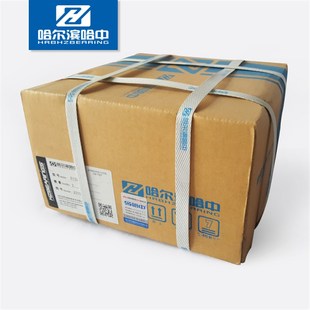 哈尔滨哈中HZB圆柱滚子轴承RN307M 502307H内径35外径68厚度21