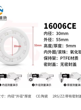 氧化锆全陶瓷轴承16005 16006 16007 16008 CE耐腐蚀 无油自润滑