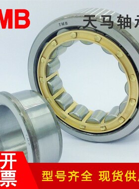 天马TMB轴承N NJ NU RN216 217 218 219 220 221 222EM 圆柱滚子