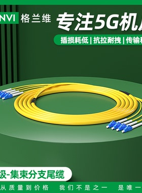 格兰维  单模集束分支跳线多芯尾缆2芯4芯6芯8芯12芯24芯48芯束状光纤跳线LC-SC-FC-ST电信级5G机房室内布线