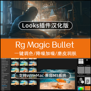 PR/AE/FCPX调色插件Looks红巨星人电影调色滤镜汉化版Win/Mac2022