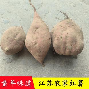 红薯番薯老品种江苏南通农家种植红薯黄心山芋可烤地瓜健康营养