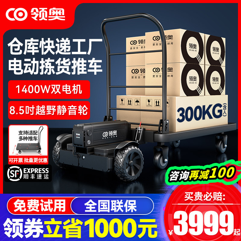 领奥小型电动手推车快递仓库载货搬运代步平衡车神器平板车工具车