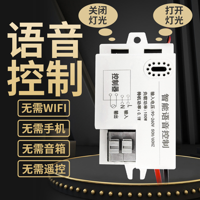 语音智能开关声控灯语音开关灯离网控制器灯具改装客厅灯卧室风扇