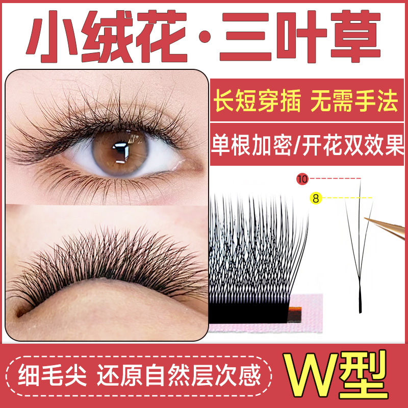 恋夫人小绒花三叶草不散根