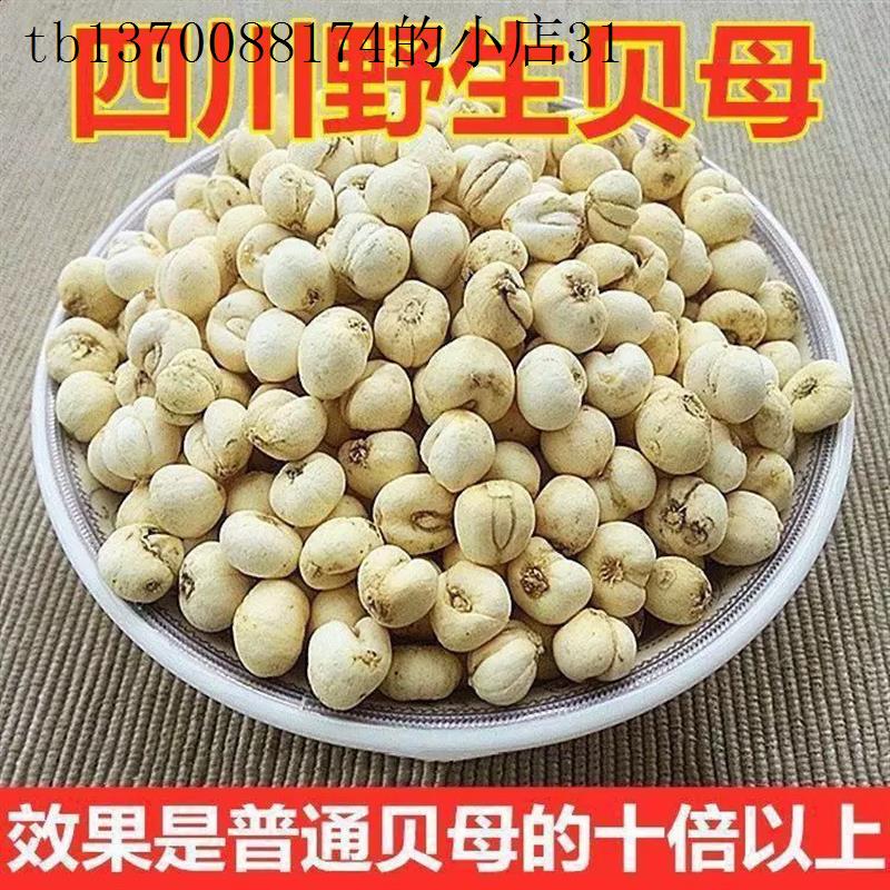 川贝母500咳止野生包邮特级正品四川贝母克中药材贝母个
