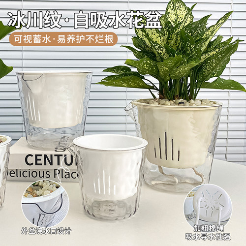 自吸水花盆家用透明懒人免浇水树脂花盆绿萝水培器皿大号水养花瓶