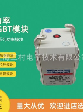 全新熔断器保险丝D71GB60V315TF/D302085 D71GB60V400TF/F302087