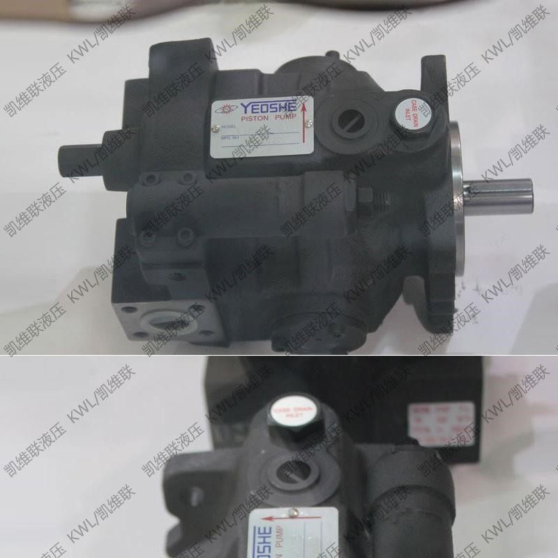 V42B,V42B1R,V42B2R,V42B3R,V42B4R,变量轴向柱塞泵,油升