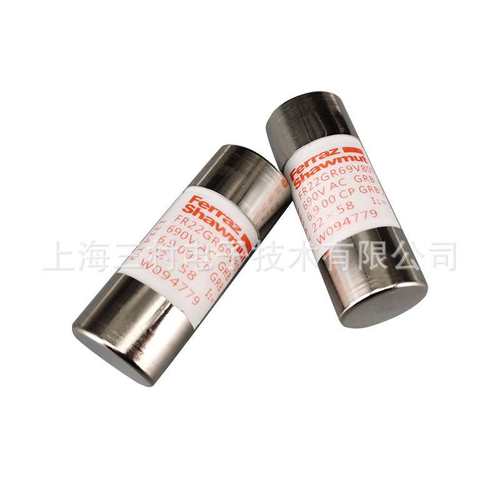 全新熔断器保险丝FR22GR69V100/F1018560 FR22GR69V125/G1018561