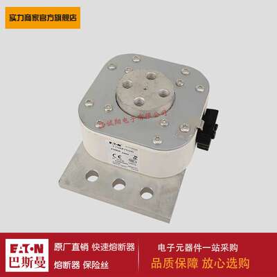 熔断器170M6910 170M7001 170M7026 170M7028 170M7029 170M7031