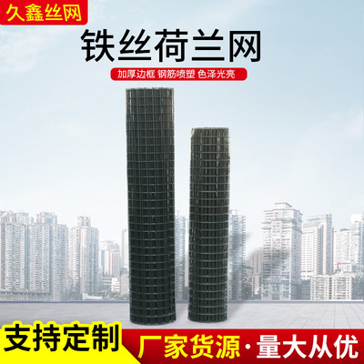 厂家货源 养殖场圈地围护荷兰网 养鸡防护网果园园林场地防护网