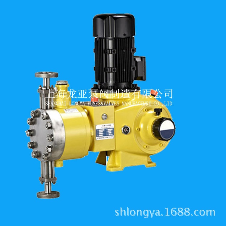 上海DP-09-07-X电磁隔膜计量泵 diaphragm metering pump