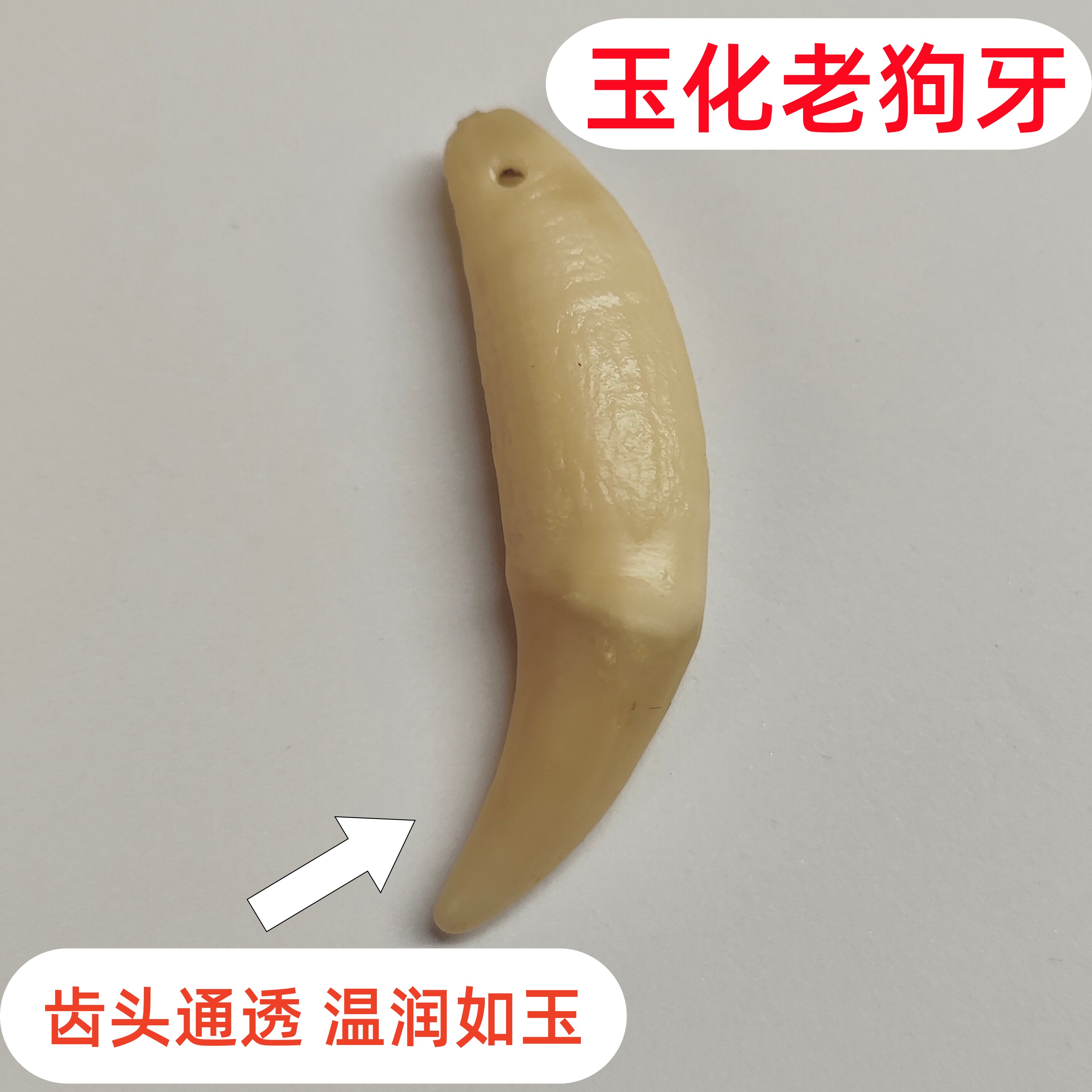 玉化老狗牙文玩挂件项链