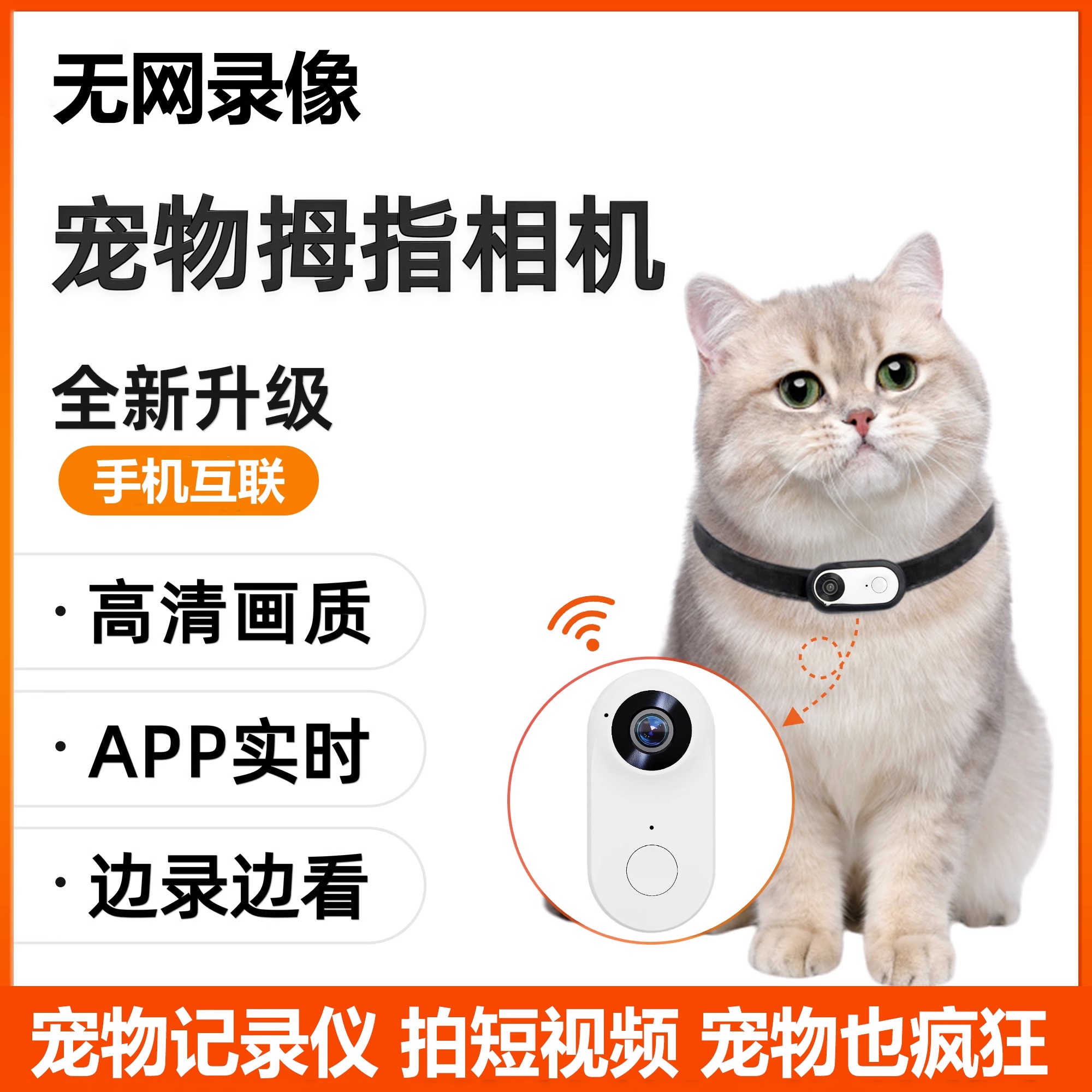 宠物记录仪猫狗视角，无网录像，手机互联