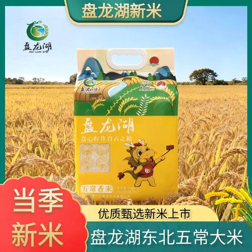 家用香米2023新米大米10斤粳米