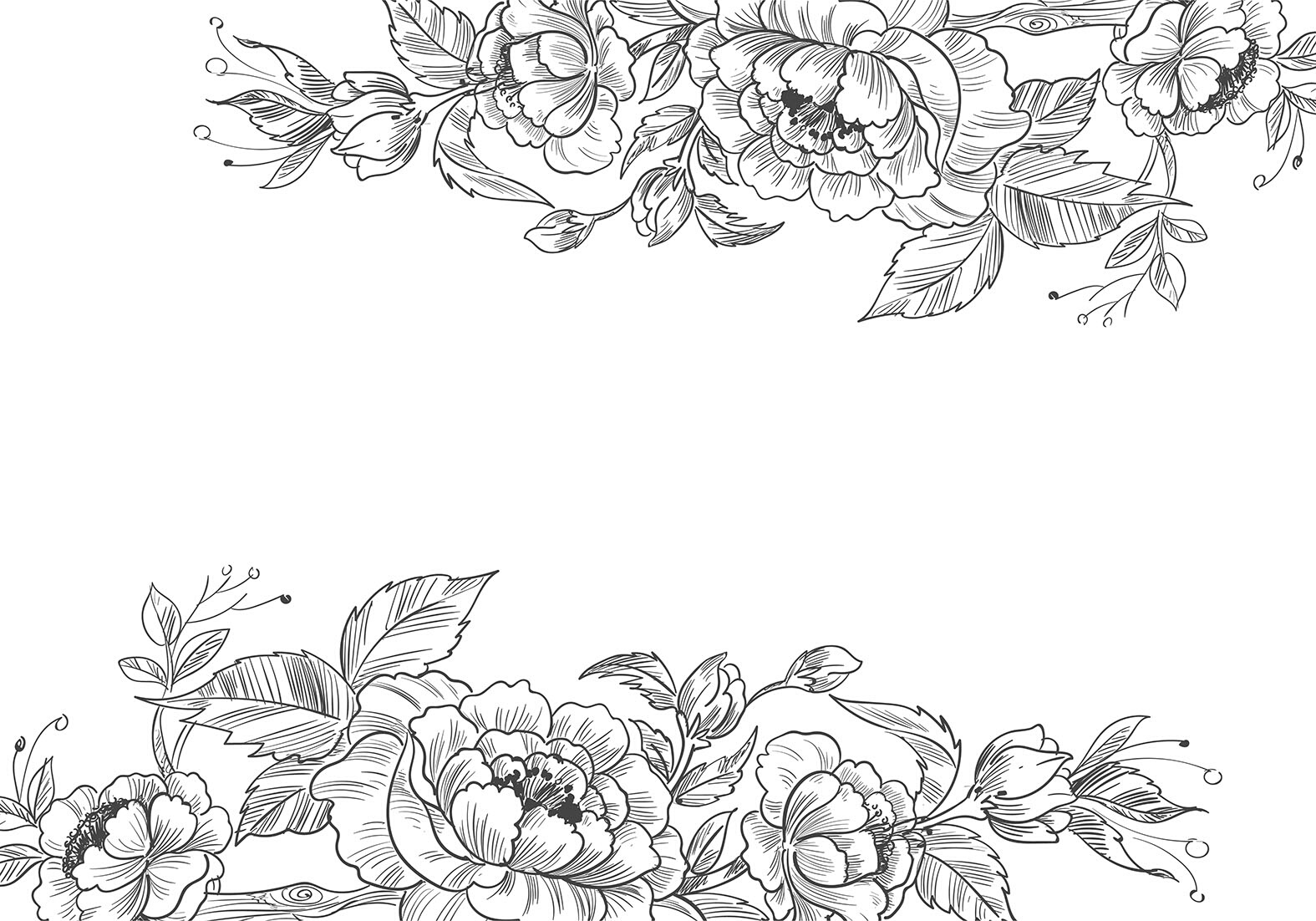 牡丹山茶大花卉花朵花藤树枝白描线稿线条设计素材ai矢量源文件