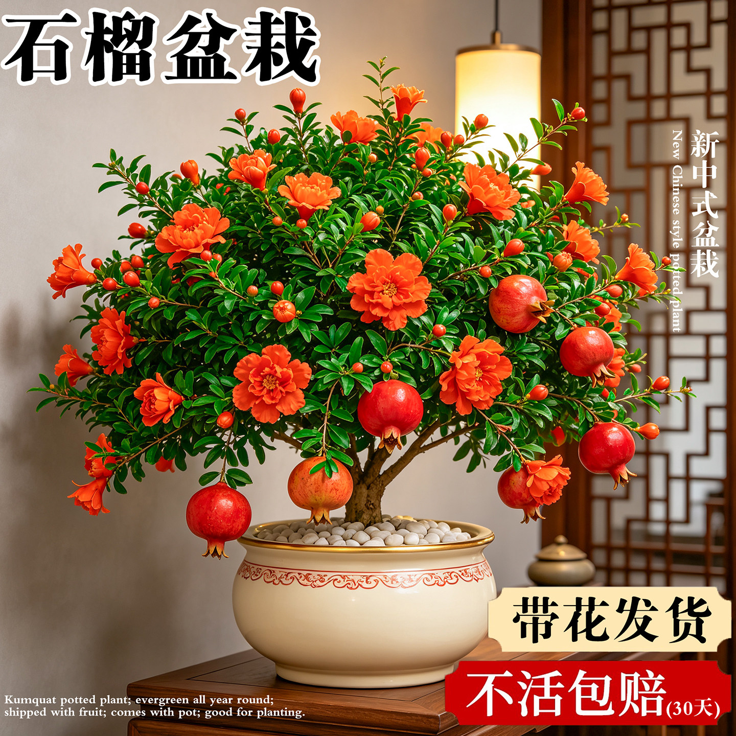 石榴花盆栽带花室内外四季观赏花卉绿植阳台庭院可食用果树真盆景