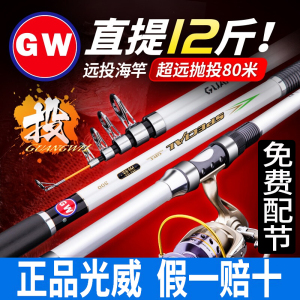 短节海竿远投超硬杆裸竿甩杆抛竿