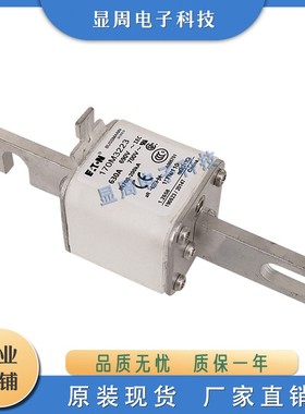 熔断器170M3197 3198 3208 3209 3210 3211 3212 3213 3214 3215