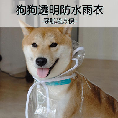 小狗狗透明雨衣泰迪柴犬衣服防水